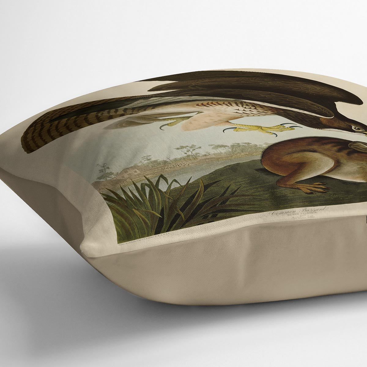 Common Buzzard by Audubon Cushion