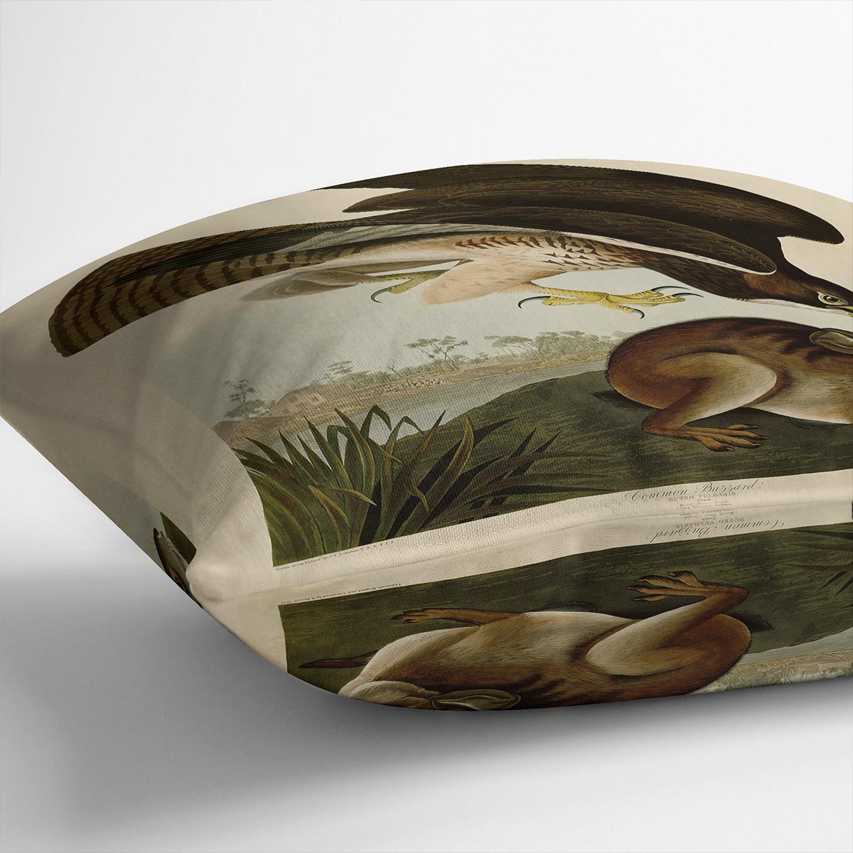 Common Buzzard by Audubon Cushion