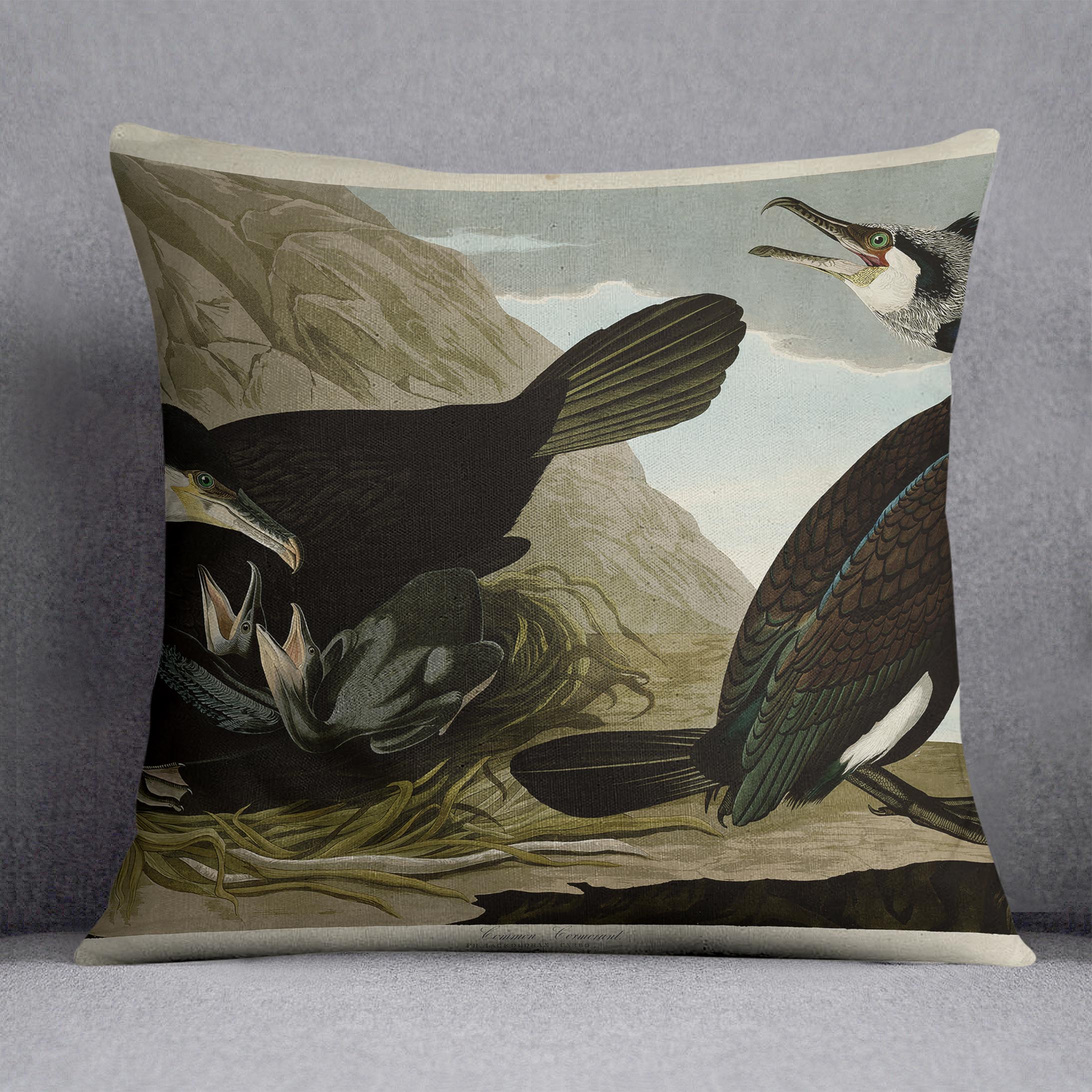 Common Cormorant by Audubon Cushion