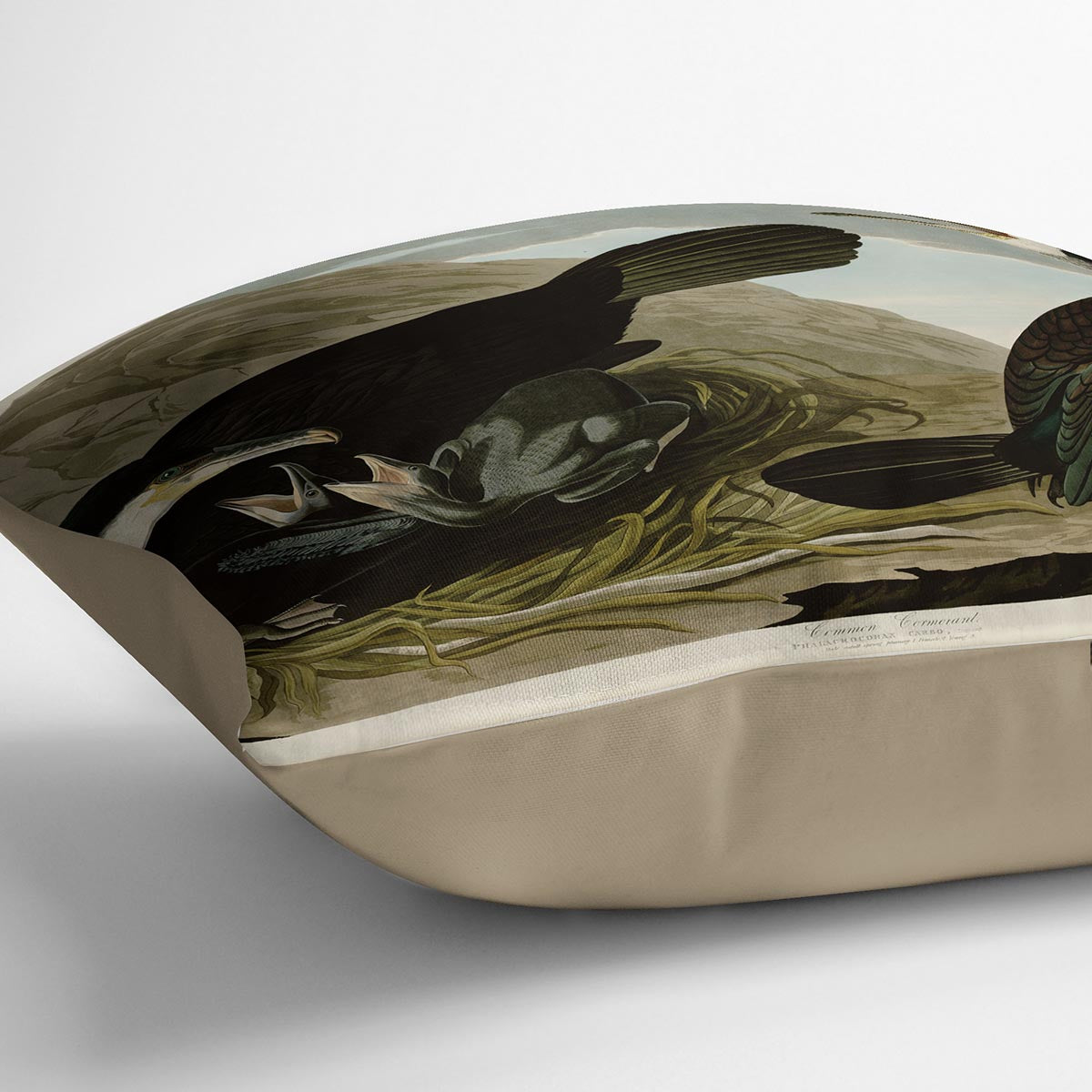 Common Cormorant by Audubon Cushion