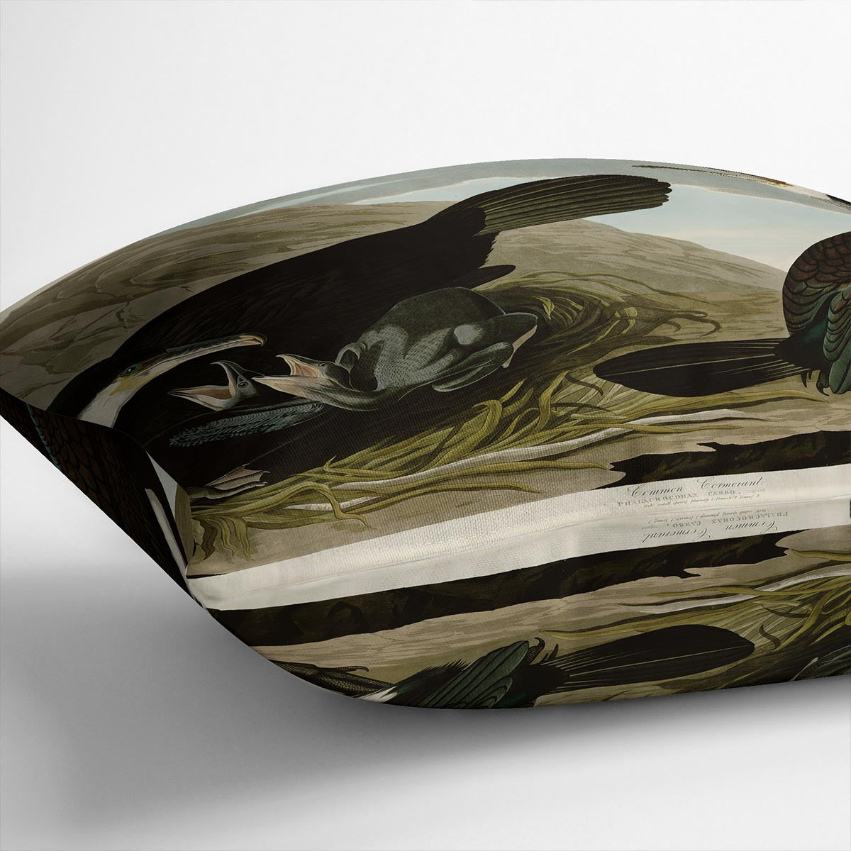 Common Cormorant by Audubon Cushion