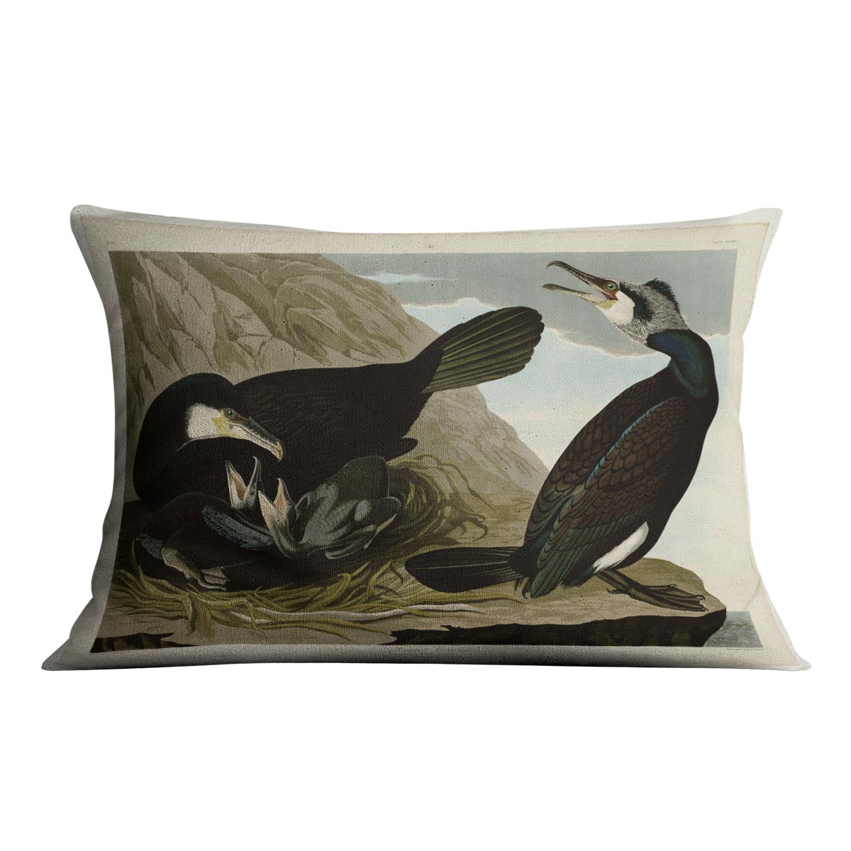 Common Cormorant by Audubon Cushion