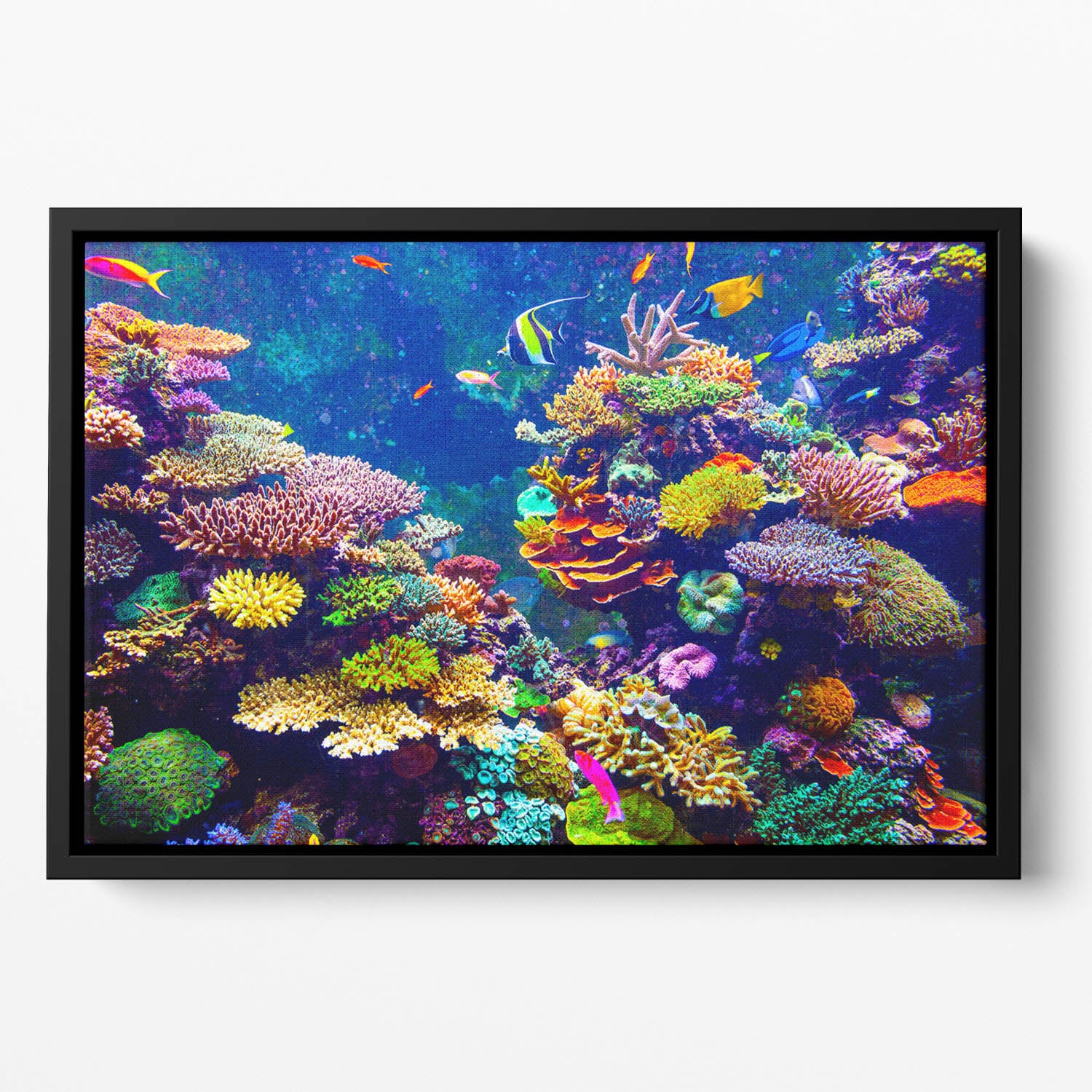 Coral Reef and Tropical Fish Floating Framed Canvas
