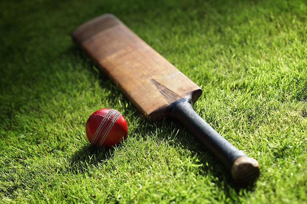 Cricket bat and ball on green grass Wall Mural Wallpaper - Canvas Art Rocks - 1