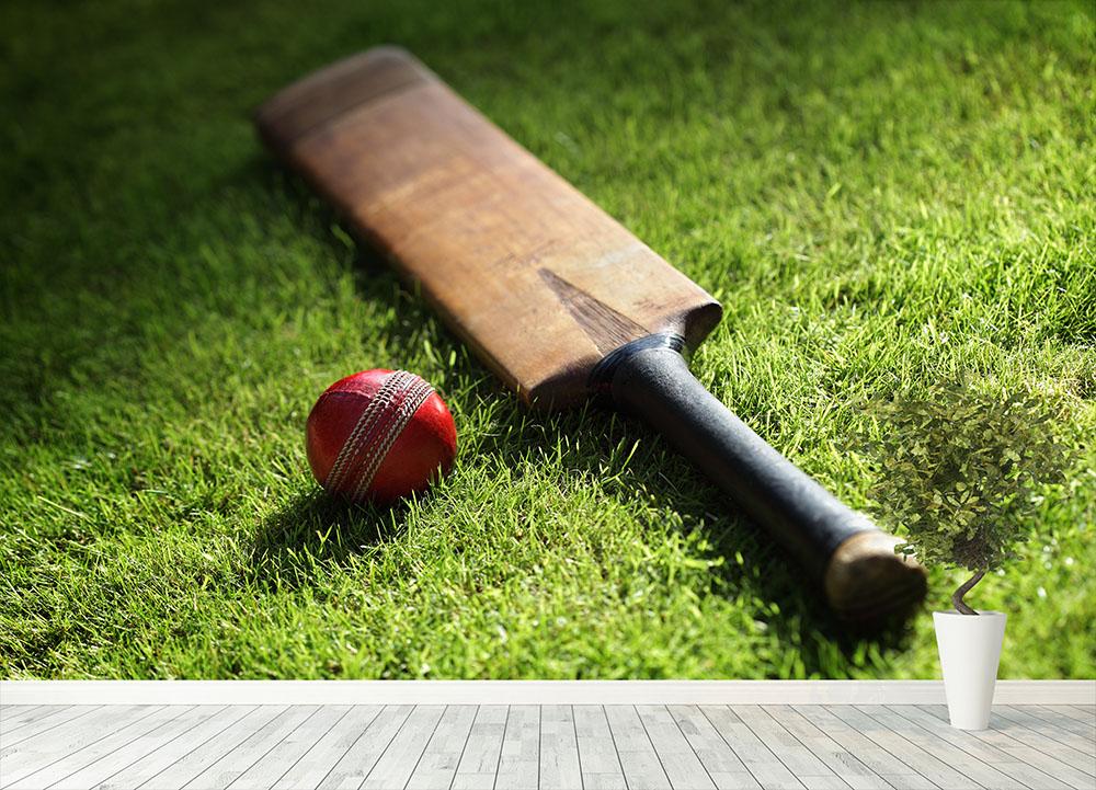 Cricket bat and ball on green grass Wall Mural Wallpaper - Canvas Art Rocks - 4