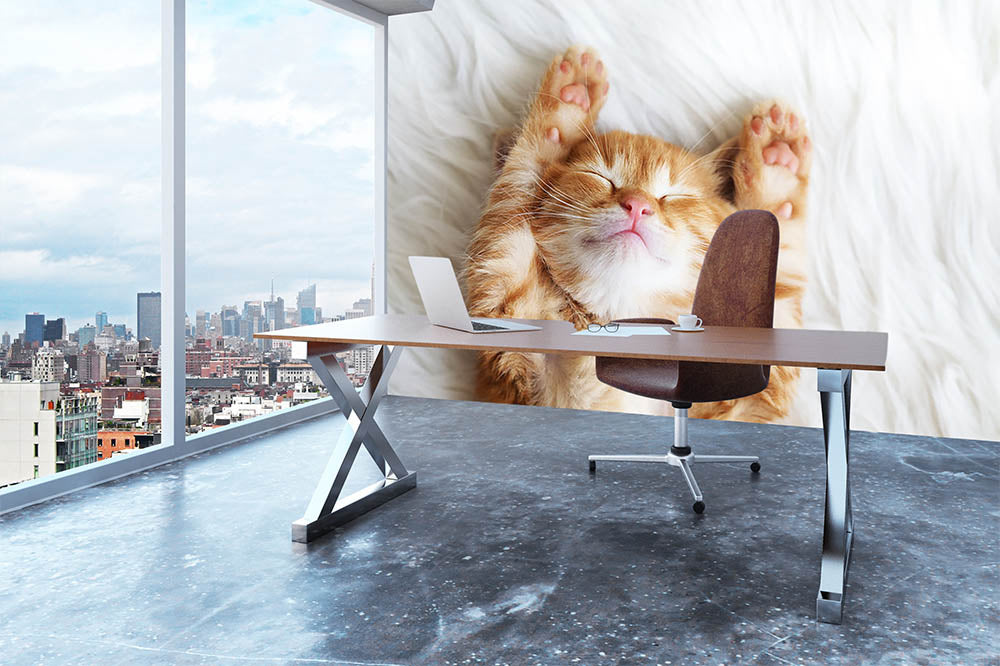 Cute little red kitten sleeps on fur white blanket Wall Mural Wallpaper - Canvas Art Rocks - 3