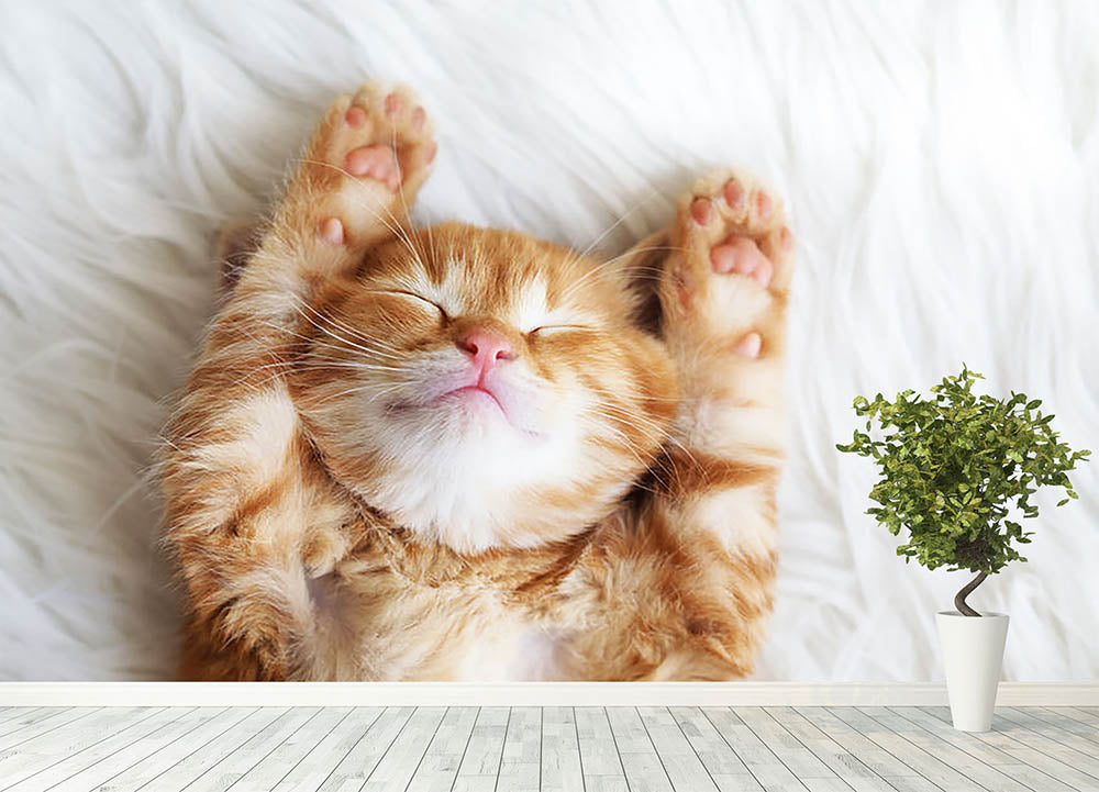 Cute little red kitten sleeps on fur white blanket Wall Mural Wallpaper - Canvas Art Rocks - 4