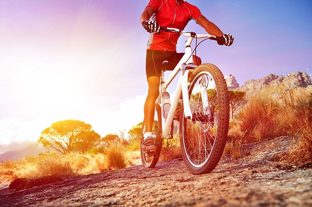 Cyclist riding mountain bike Wall Mural Wallpaper - Canvas Art Rocks - 1