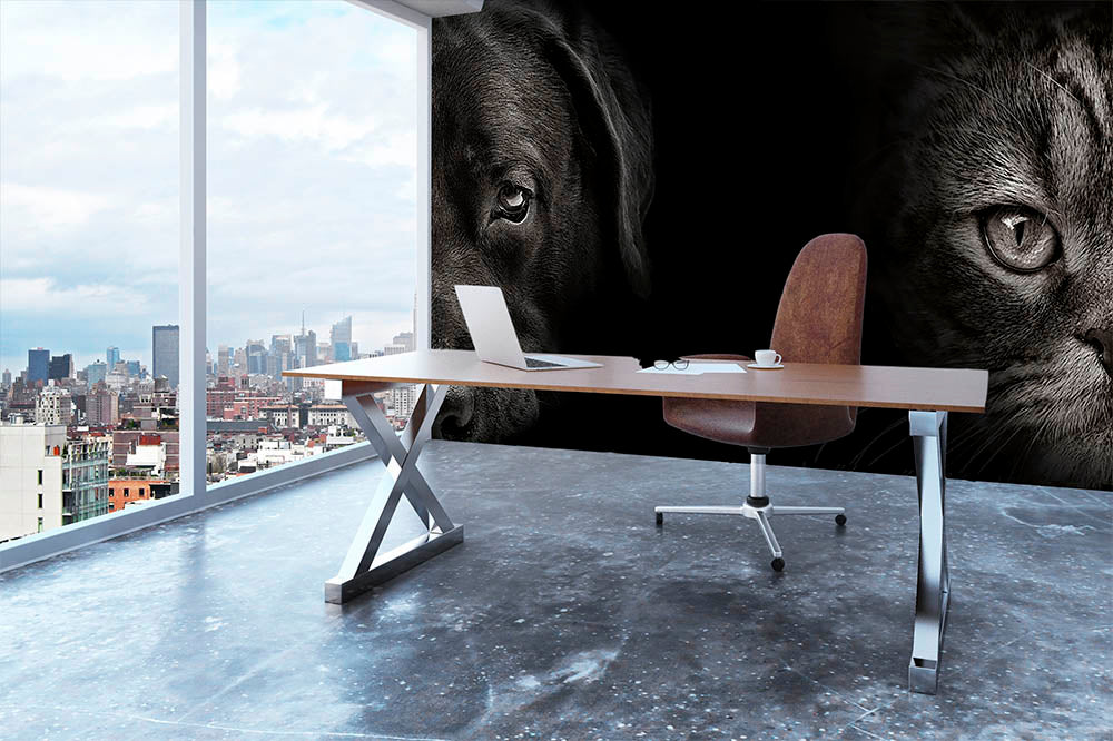 Dark muzzle labrador dog and cat Wall Mural Wallpaper - Canvas Art Rocks - 3
