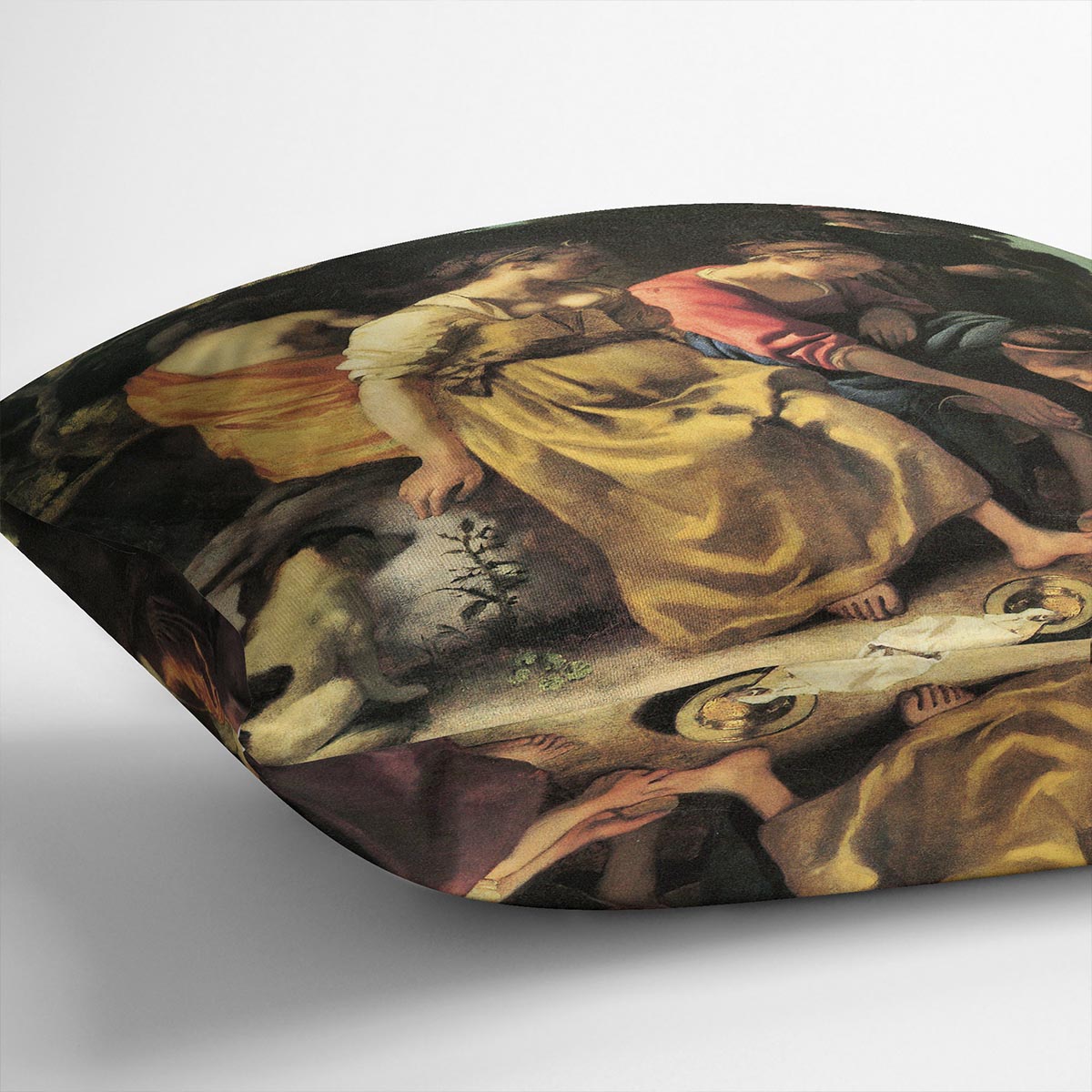 Diana and her nymphs by Vermeer Cushion
