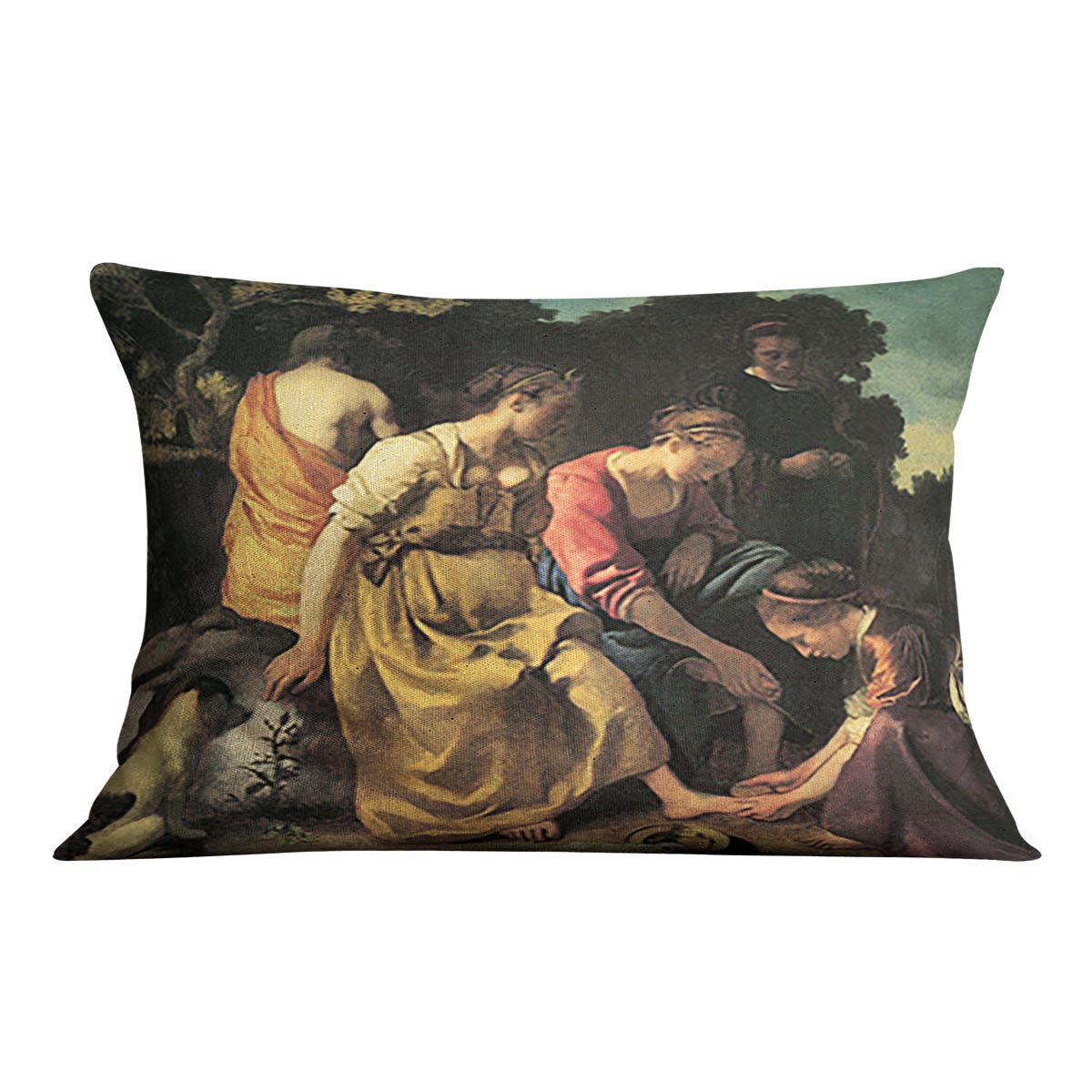 Diana and her nymphs by Vermeer Cushion