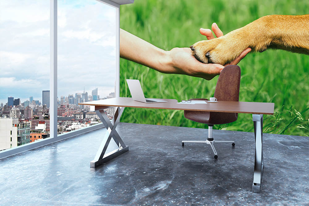 Dog paw and human hand are doing handshake Wall Mural Wallpaper - Canvas Art Rocks - 3