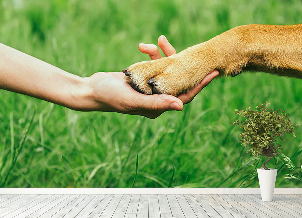 Dog paw and human hand are doing handshake Wall Mural Wallpaper - Canvas Art Rocks - 4