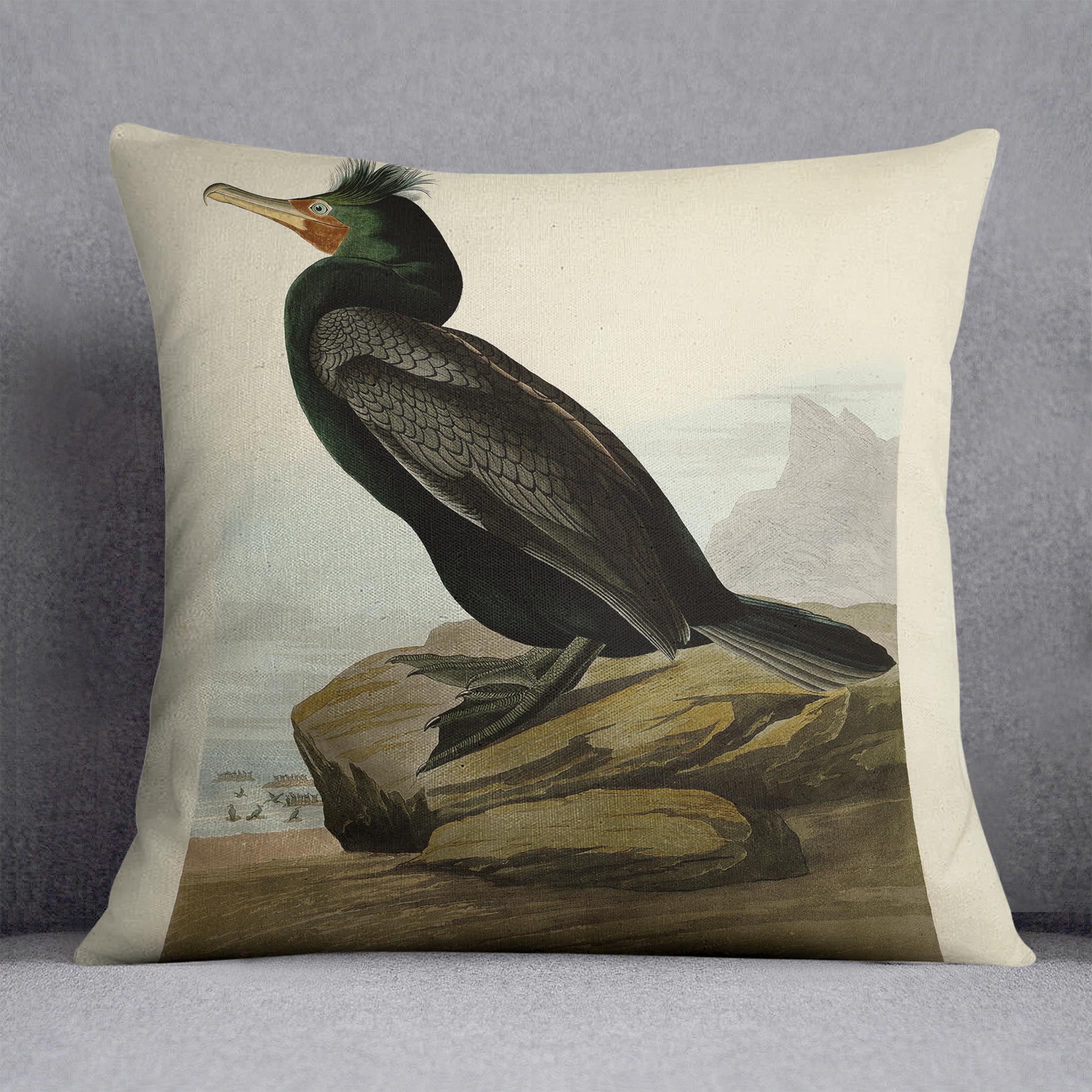 Double crested Cormorant by Audubon Cushion