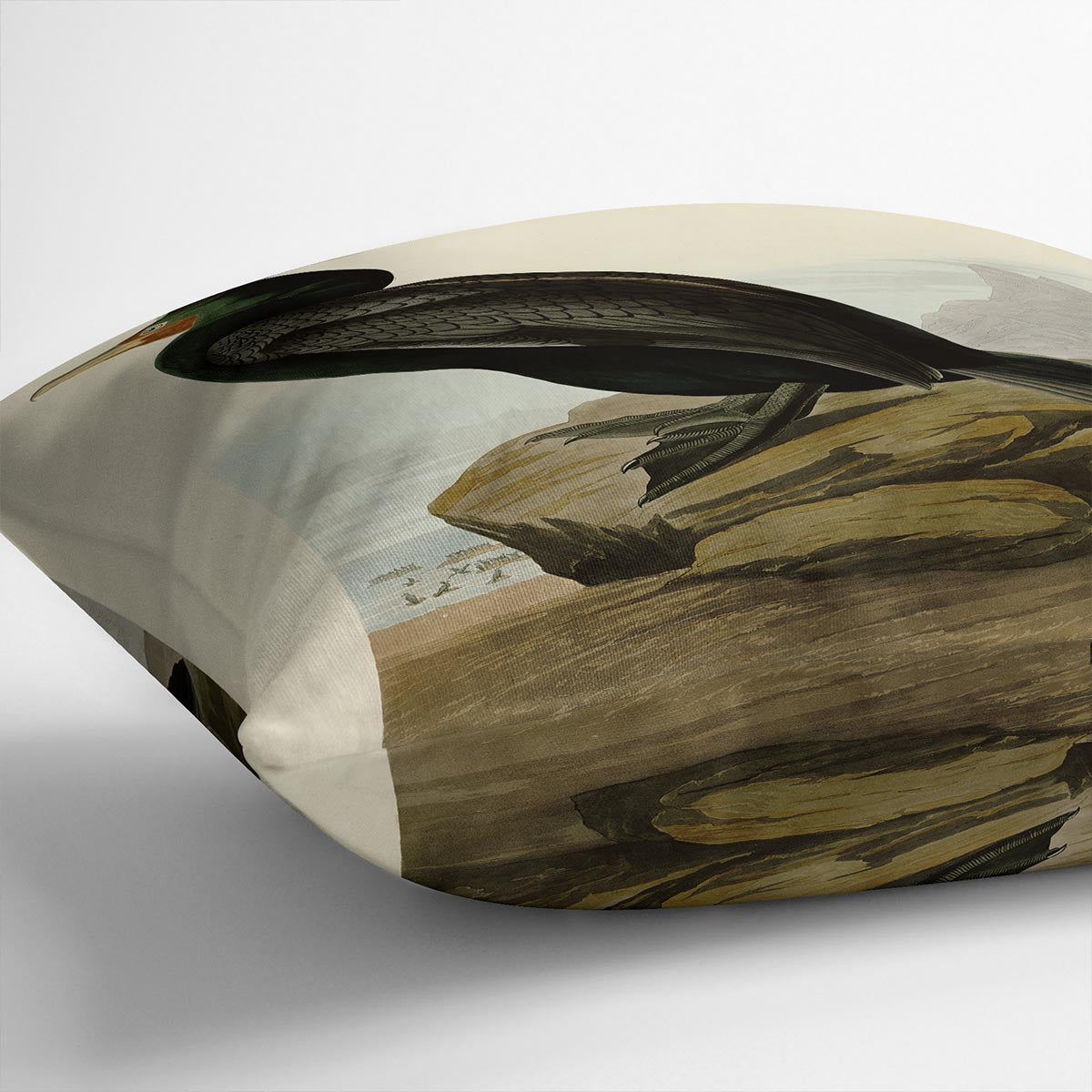 Double crested Cormorant by Audubon Cushion