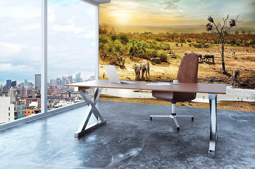 Dreamy scene of common South African safari Wall Mural Wallpaper - Canvas Art Rocks - 3