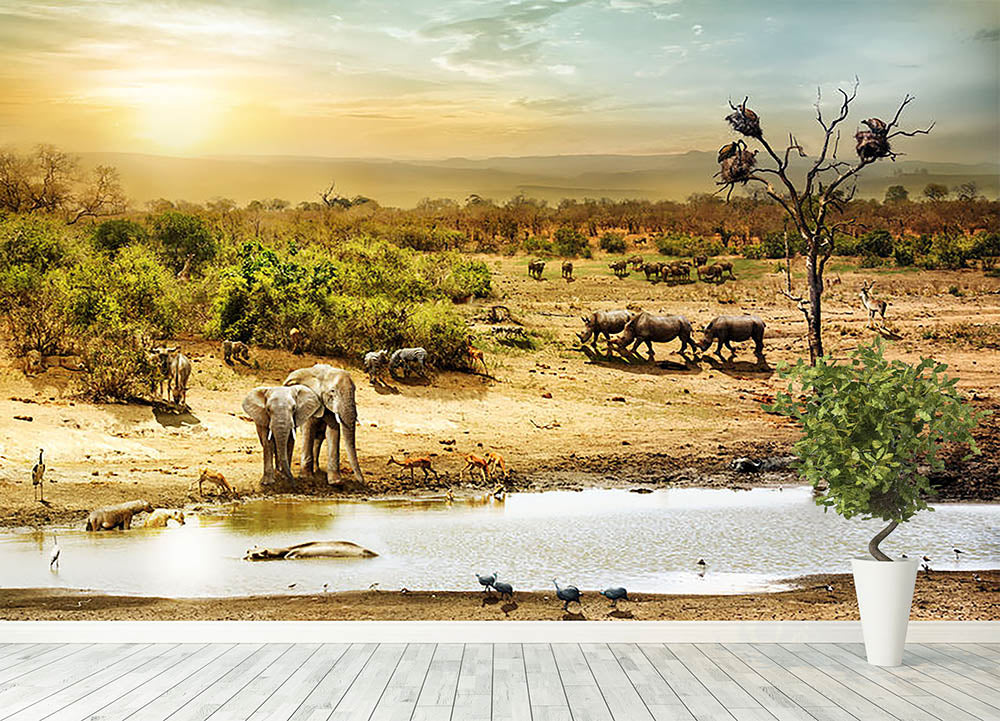 Dreamy scene of common South African safari Wall Mural Wallpaper - Canvas Art Rocks - 4