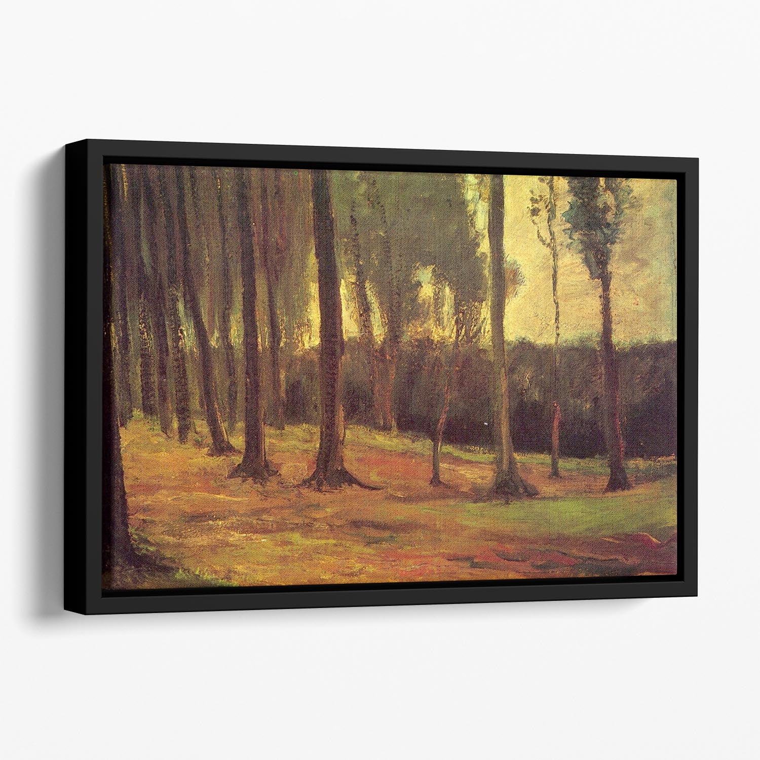 Edge of a Wood by Van Gogh Floating Framed Canvas