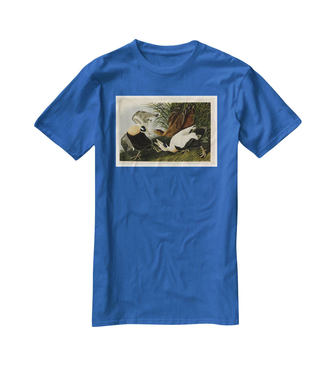 Eider Duck by Audubon T-Shirt - Canvas Art Rocks - 2