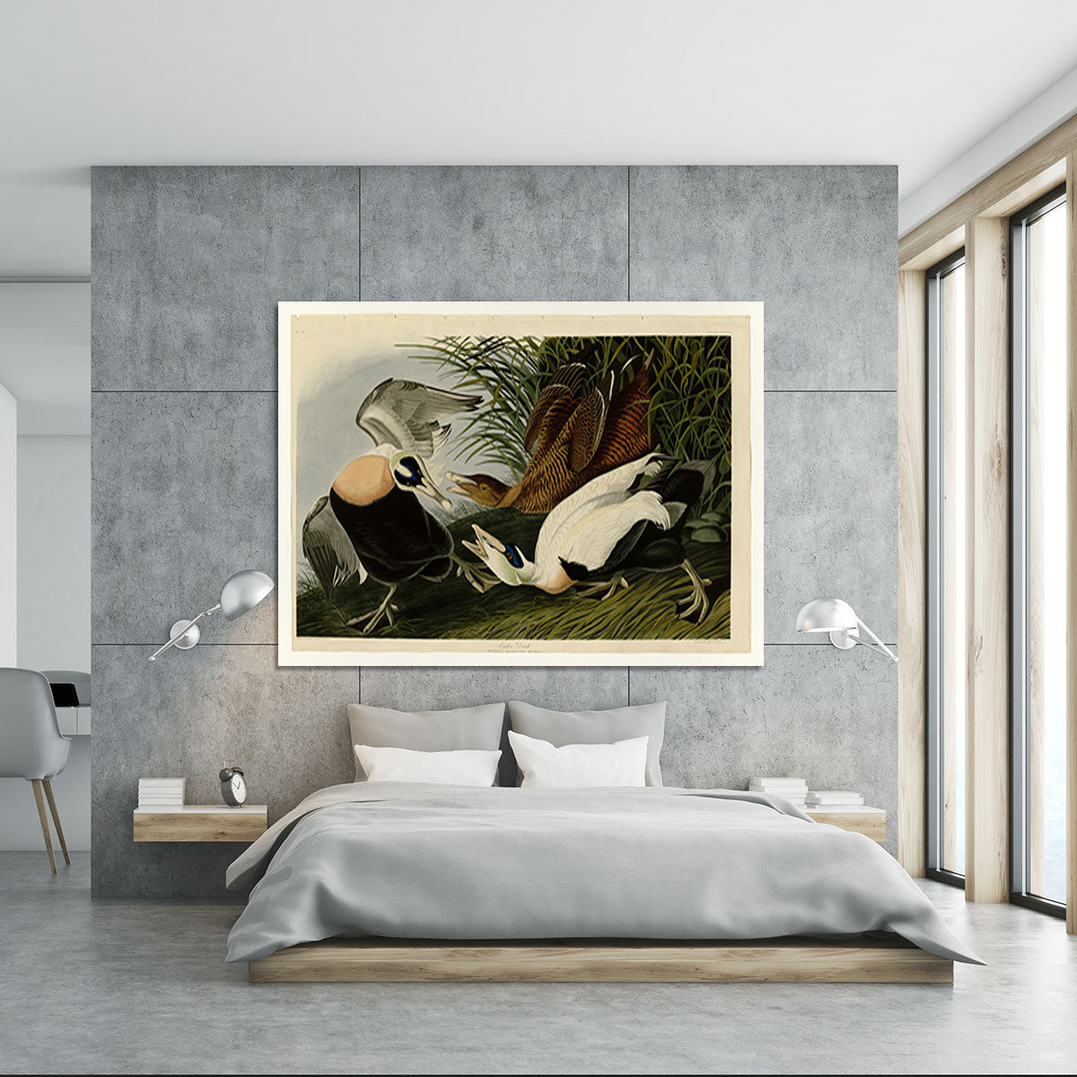 Eider Duck by Audubon Canvas Print or Poster - Canvas Art Rocks - 5