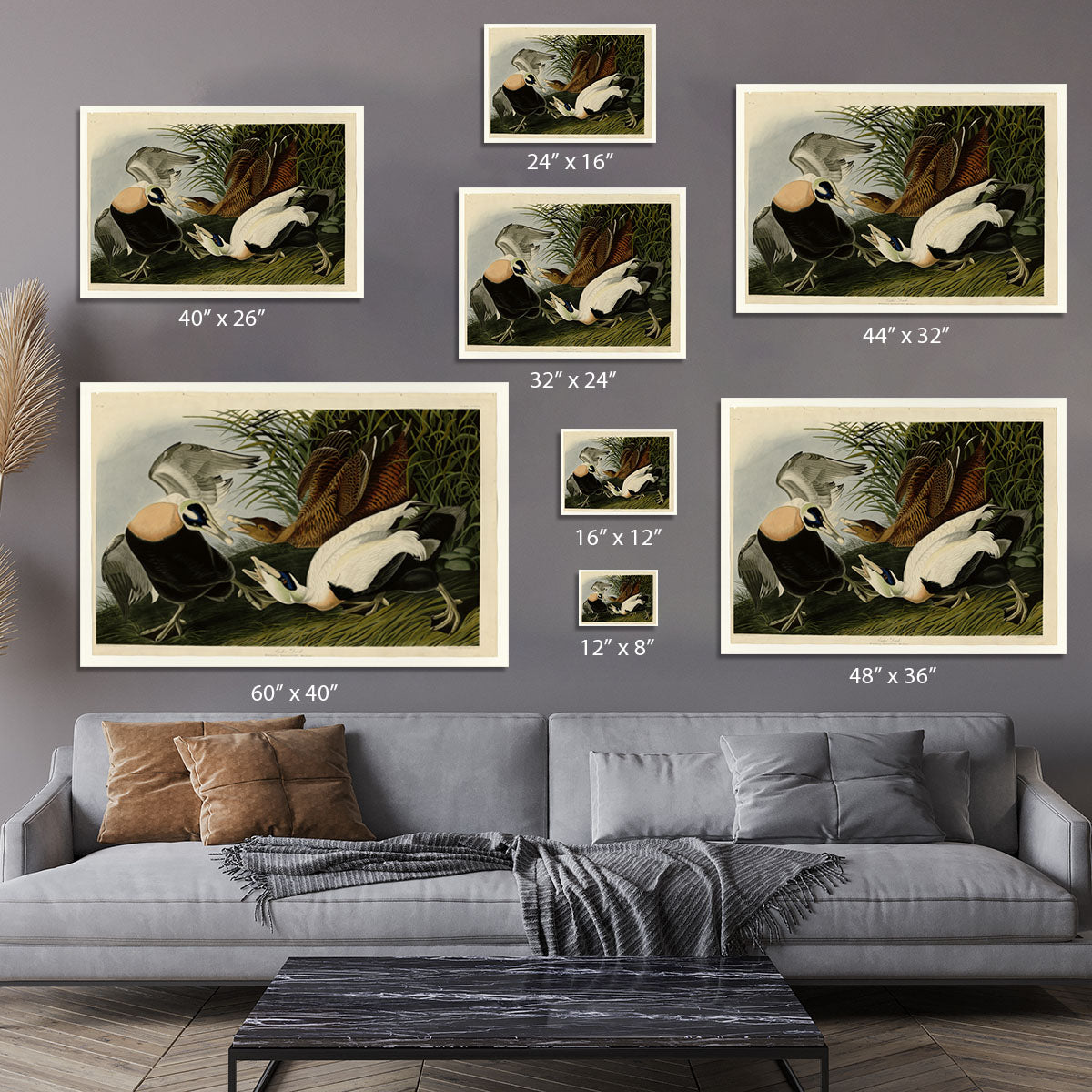 Eider Duck by Audubon Canvas Print or Poster - Canvas Art Rocks - 7