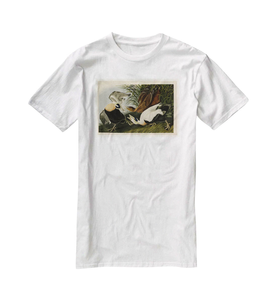 Eider Duck by Audubon T-Shirt - Canvas Art Rocks - 5