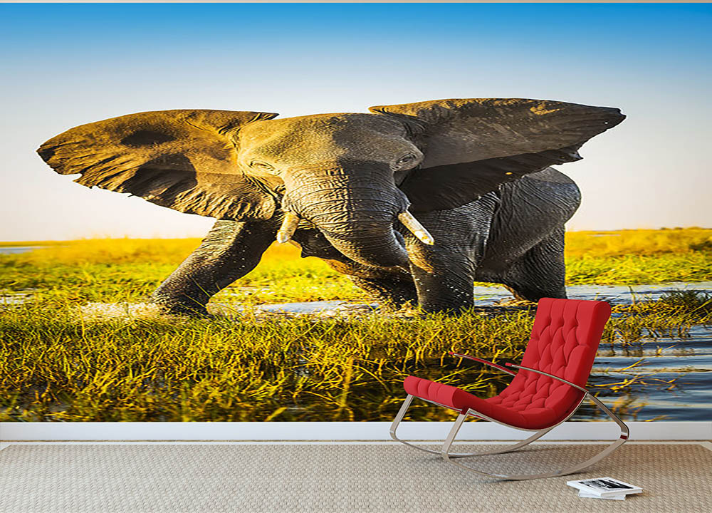 Elephant half wet in sunset light in Africa Wall Mural Wallpaper - Canvas Art Rocks - 2