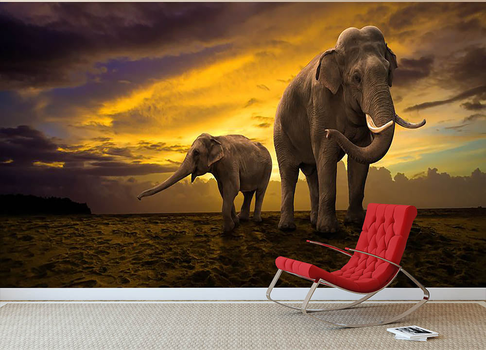 Elephants family on sunset Wall Mural Wallpaper - Canvas Art Rocks - 2