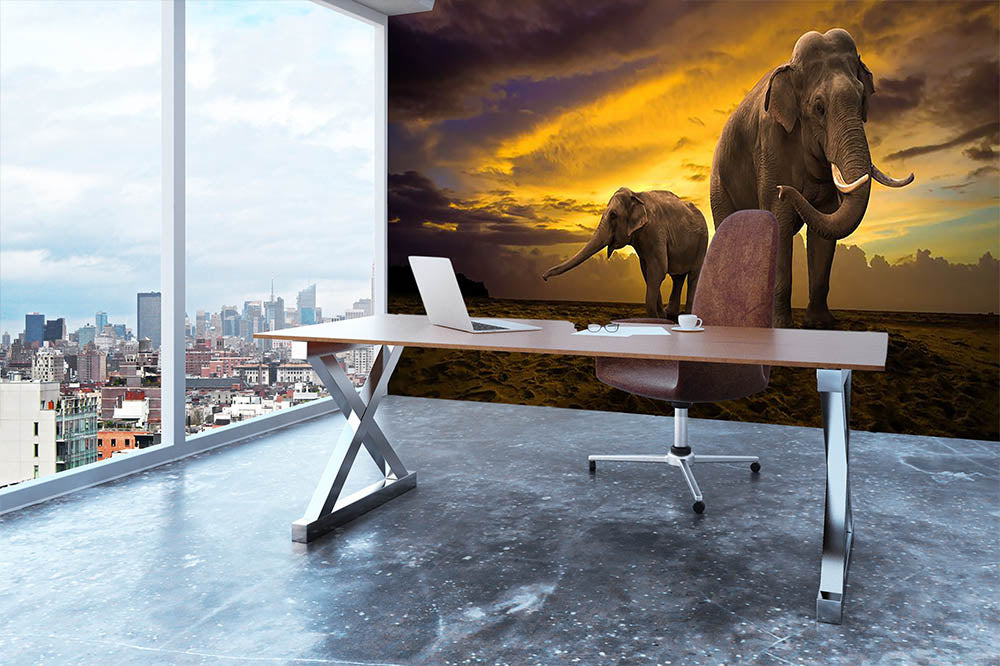 Elephants family on sunset Wall Mural Wallpaper - Canvas Art Rocks - 3