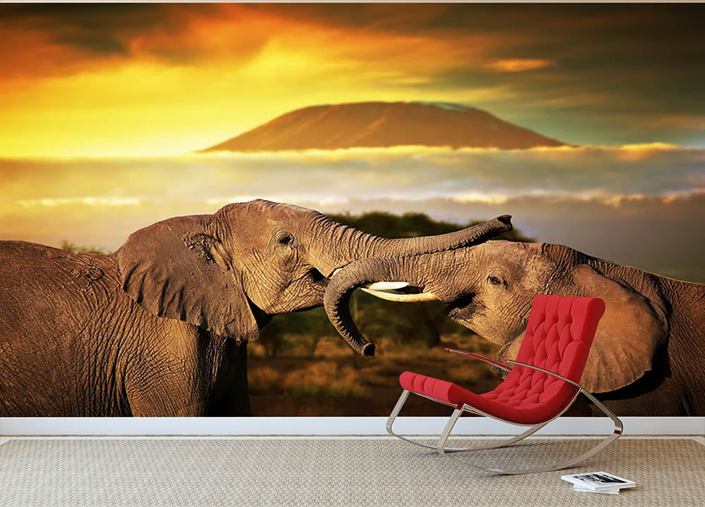 Elephants playing with their trunks Wall Mural Wallpaper - Canvas Art Rocks - 2