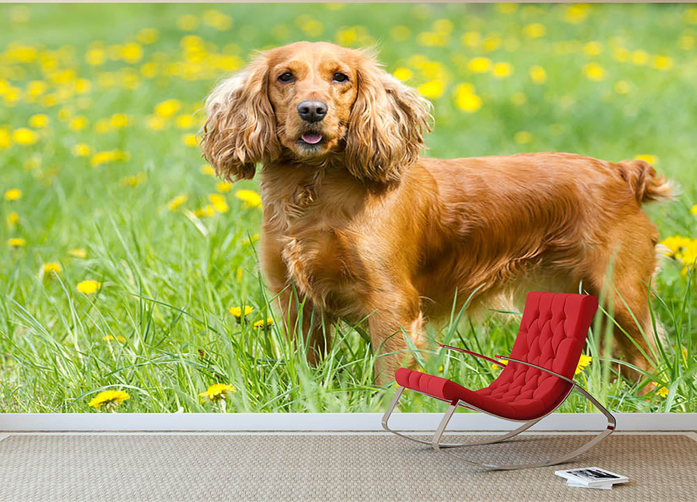 Englishl cocker spaniel on the grass Wall Mural Wallpaper - Canvas Art Rocks - 2