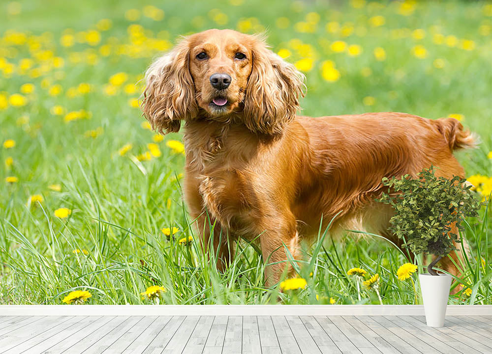 Englishl cocker spaniel on the grass Wall Mural Wallpaper - Canvas Art Rocks - 4