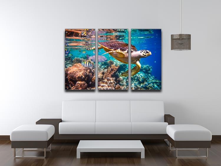 Eretmochelys imbricata 3 Split Panel Canvas Print - Canvas Art Rocks - 3