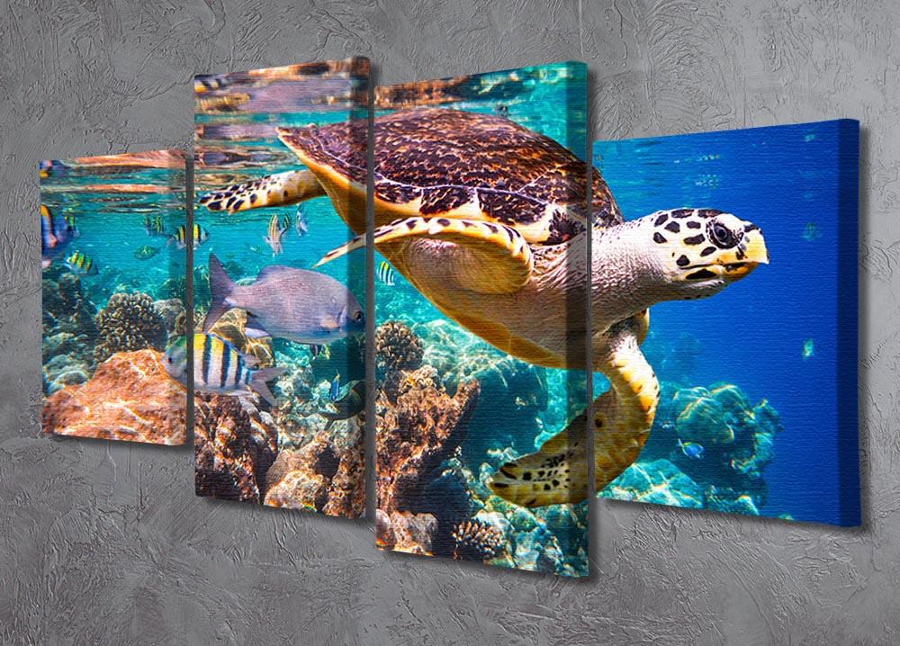 Eretmochelys imbricata 4 Split Panel Canvas - Canvas Art Rocks - 2