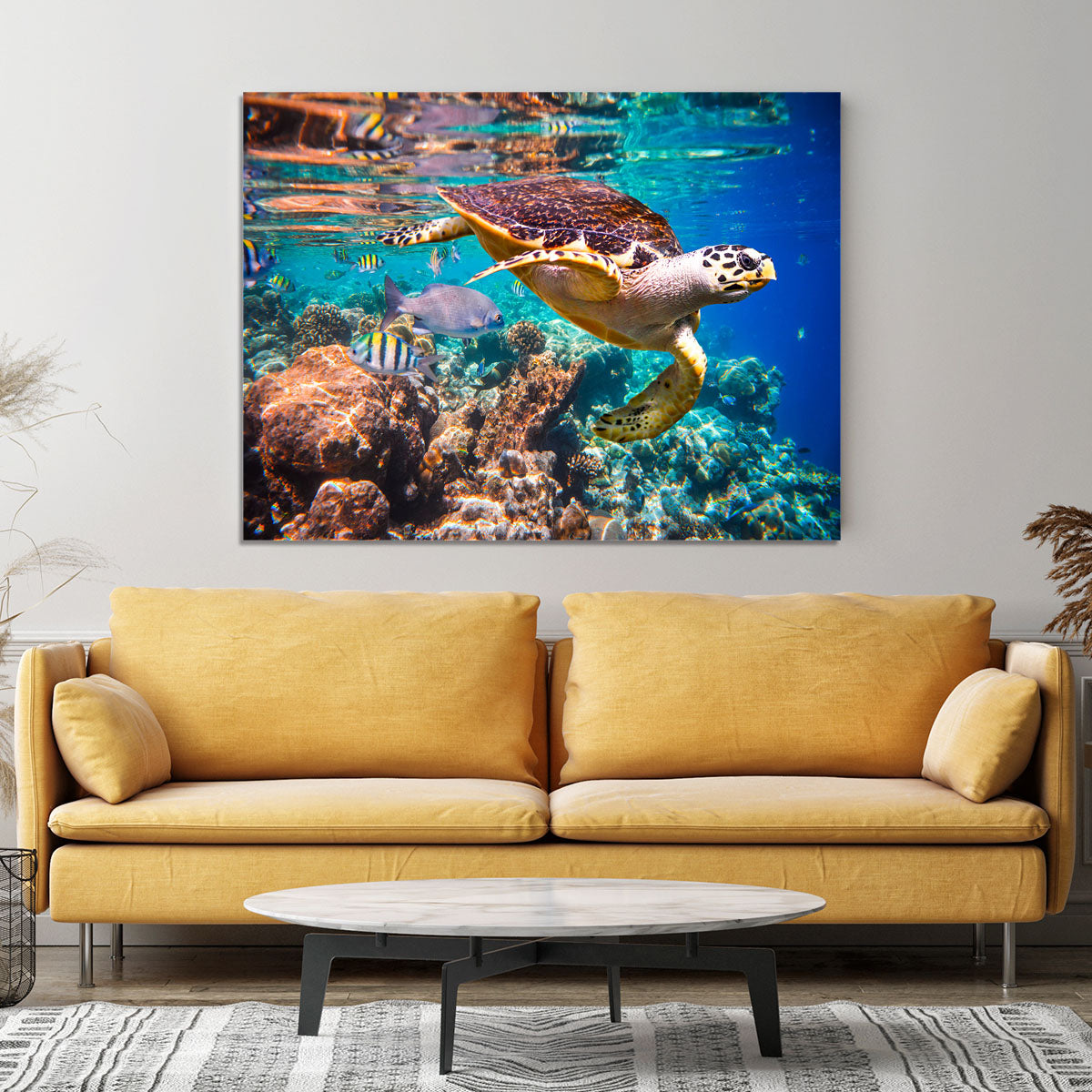 Eretmochelys imbricata Canvas Print or Poster - Canvas Art Rocks - 4