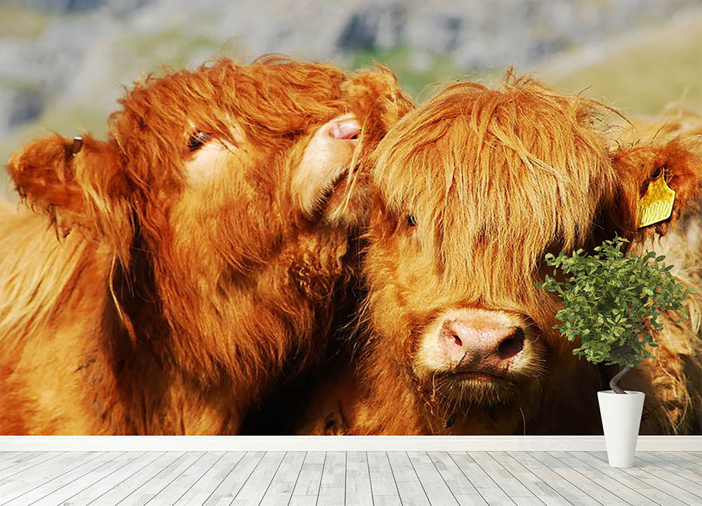 Farm cows Wall Mural Wallpaper - Canvas Art Rocks - 4