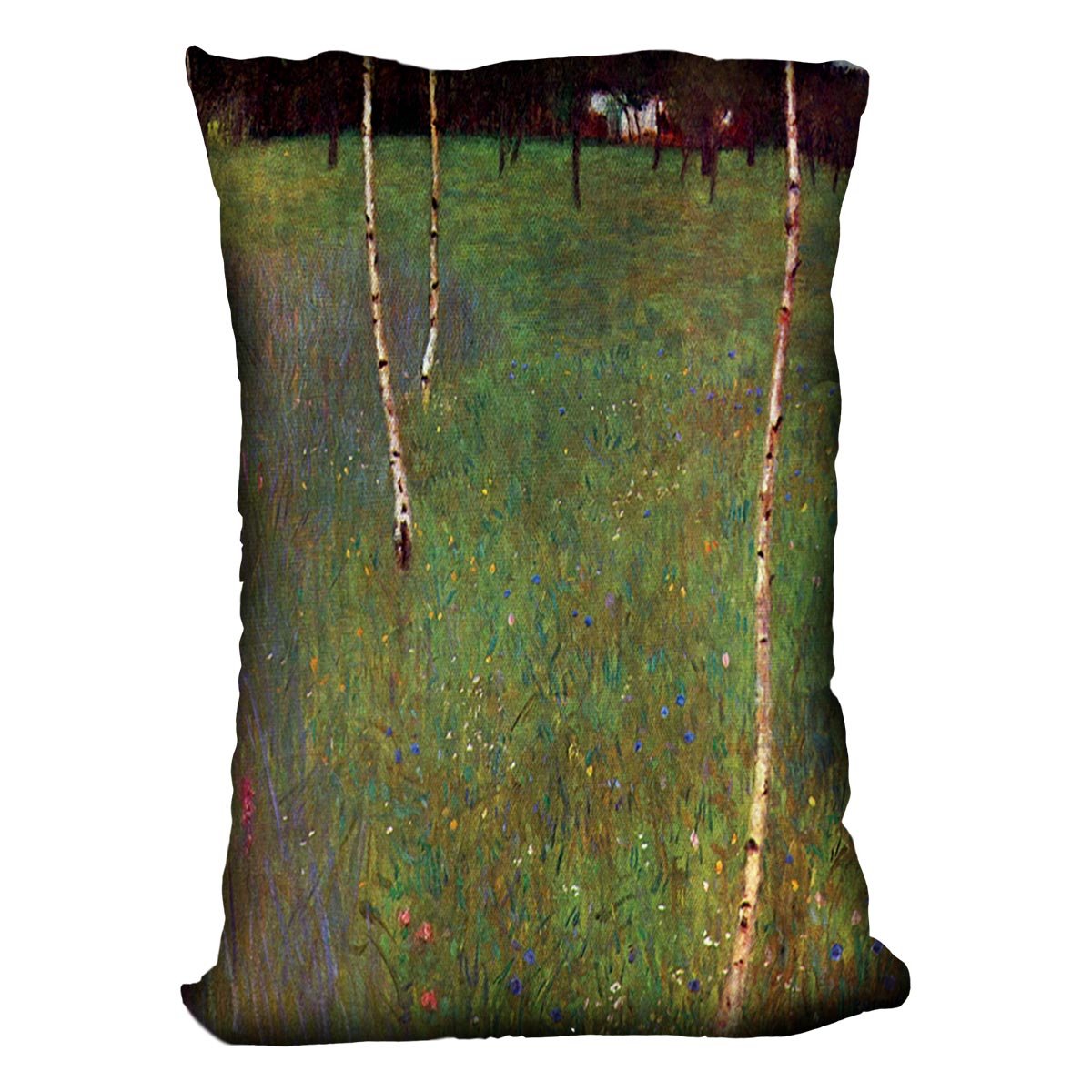 Farmhouse by Klimt Cushion