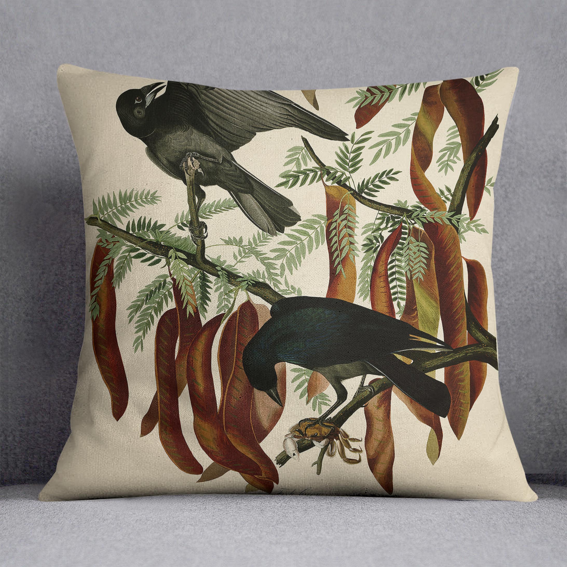 Fish Crow by Audubon Cushion
