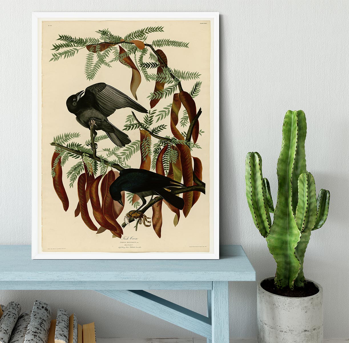 Fish Crow by Audubon Framed Print - Canvas Art Rocks -6