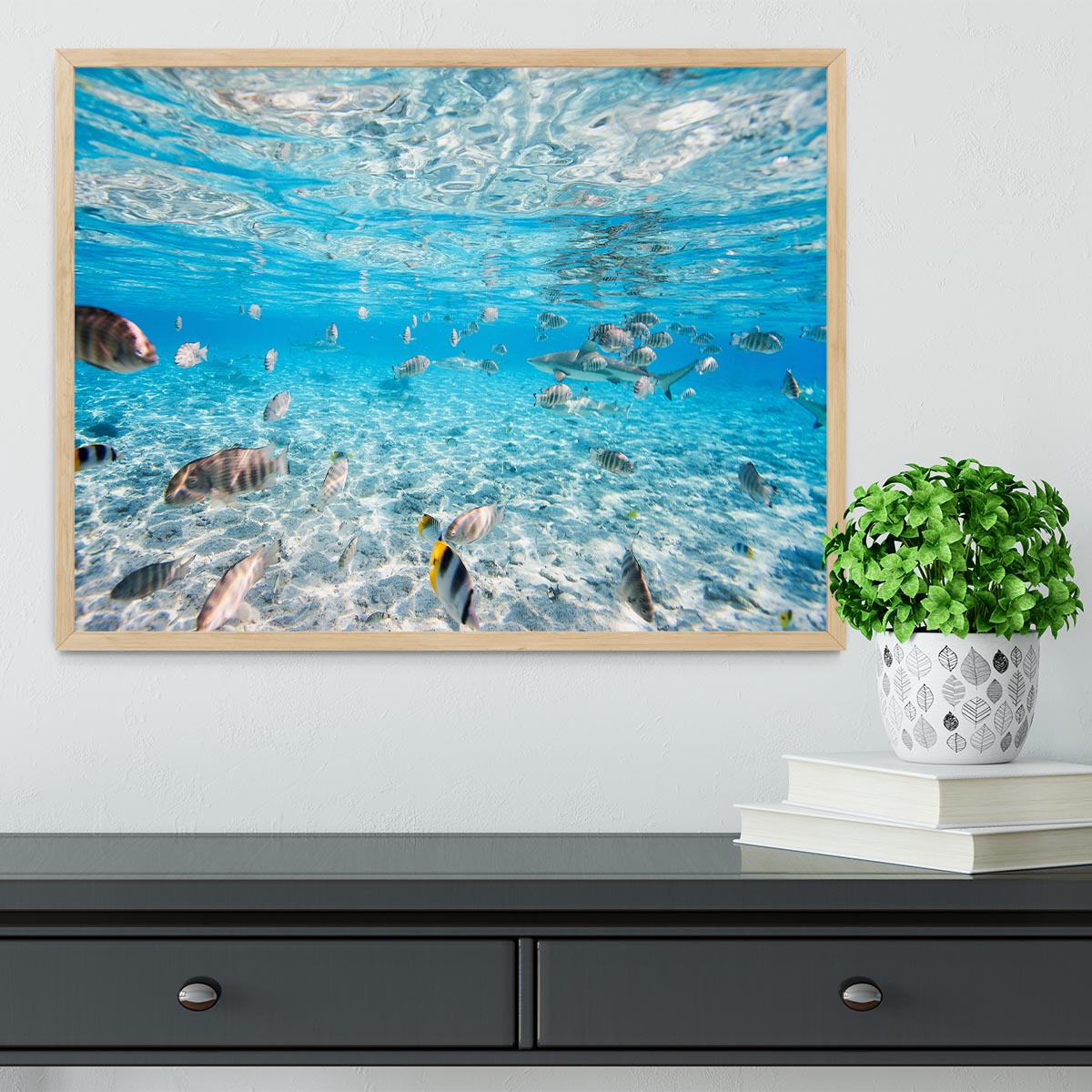 Fish and black tipped sharks Framed Print - Canvas Art Rocks - 4