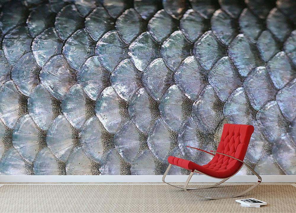 Fish scales Wall Mural Wallpaper - Canvas Art Rocks - 2