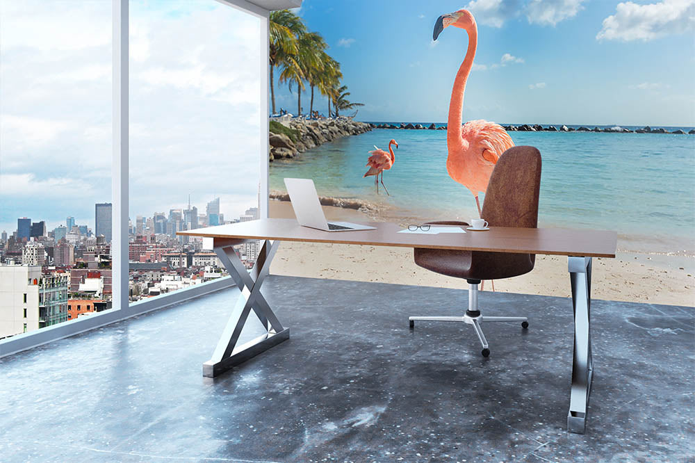 Flamingos on the Aruba beach Wall Mural Wallpaper - Canvas Art Rocks - 3