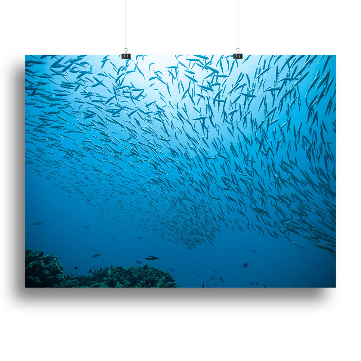 Flock of fish flowing Canvas Print or Poster - Canvas Art Rocks - 2