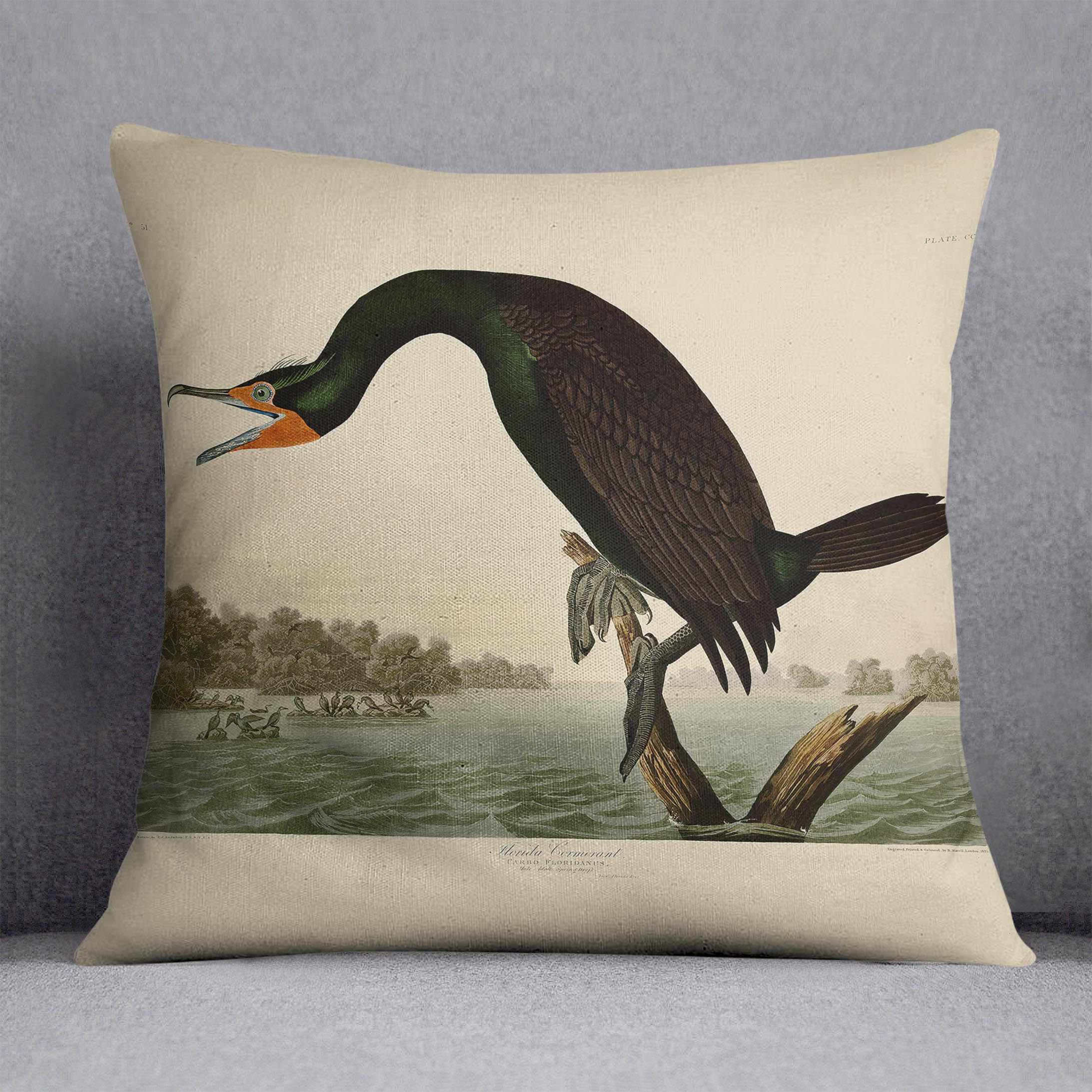 Florida Cormorant by Audubon Cushion
