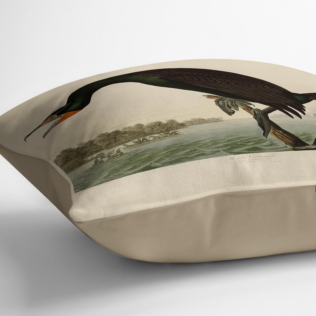 Florida Cormorant by Audubon Cushion