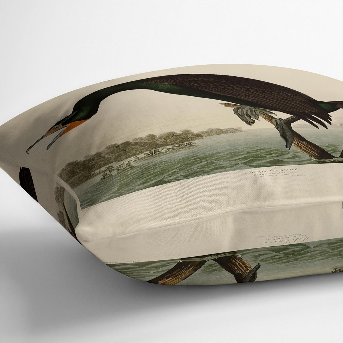 Florida Cormorant by Audubon Cushion
