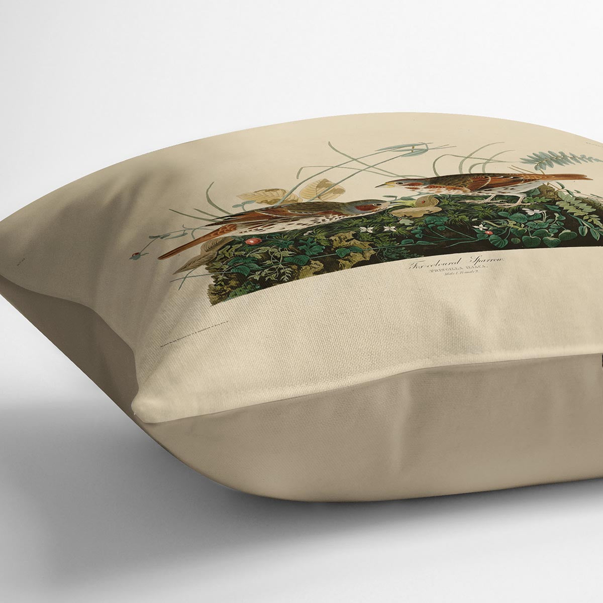 Fox coloured Sparrow by Audubon Cushion