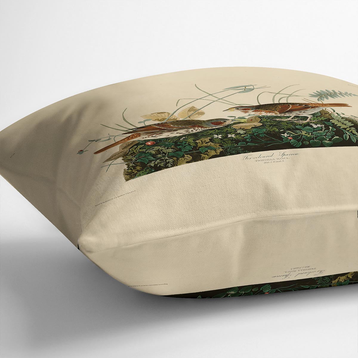 Fox coloured Sparrow by Audubon Cushion