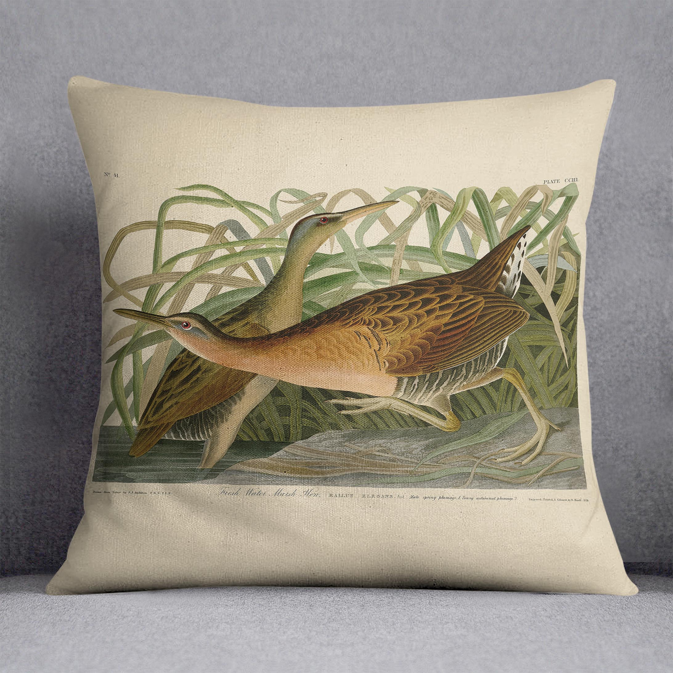 Fresh Water Marsh Hen by Audubon Cushion