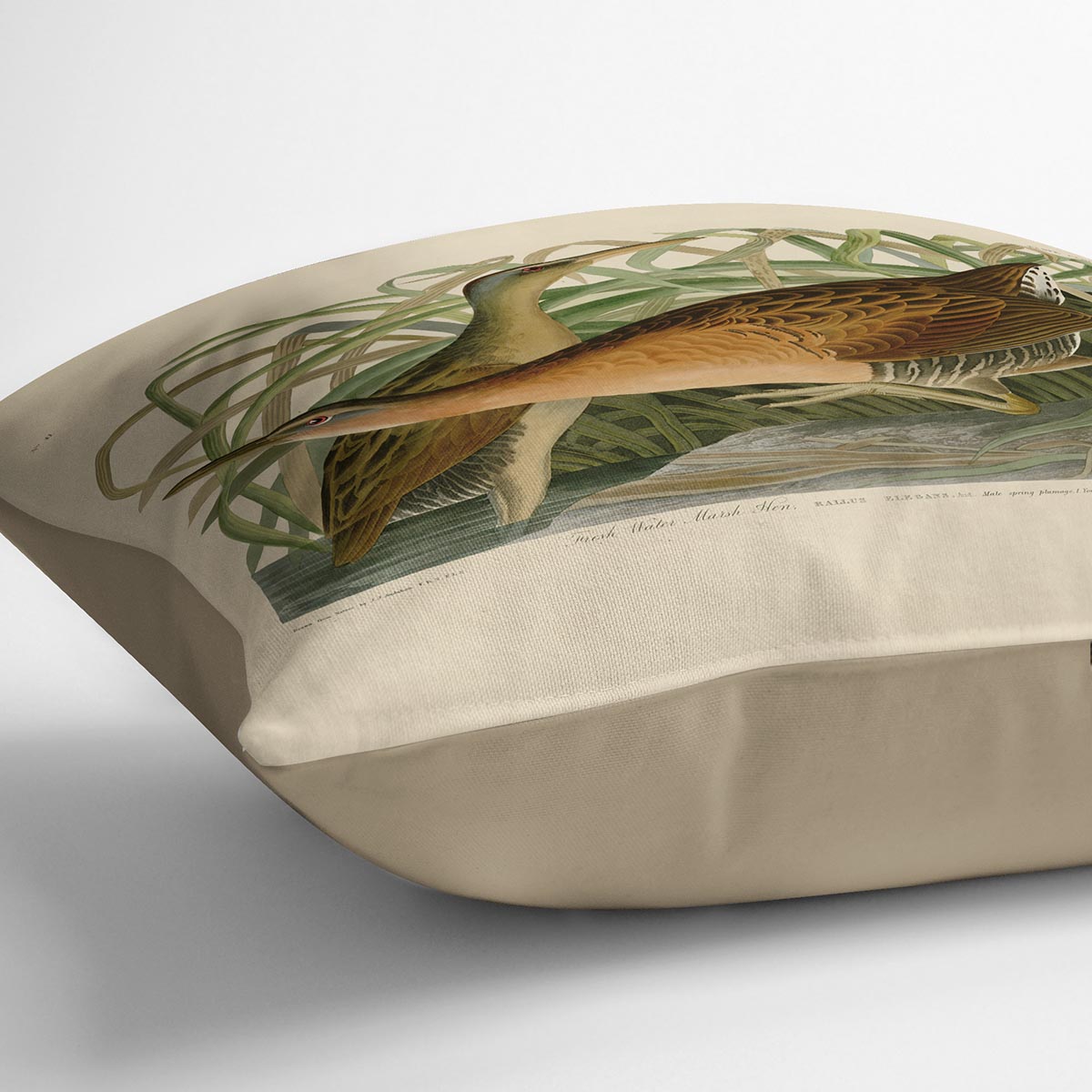 Fresh Water Marsh Hen by Audubon Cushion